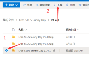 SD下载说明2